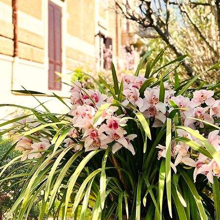 Villa Michelangelo Deluxe โรม ภายนอก รูปภาพ